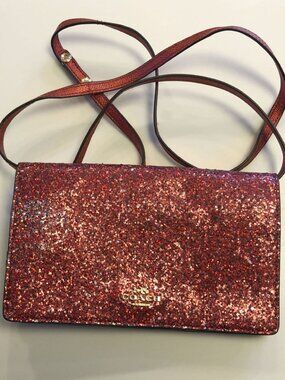 NWOT COACH HAYDEN FOLDOVER CROSSBODY CLUTCH F39640